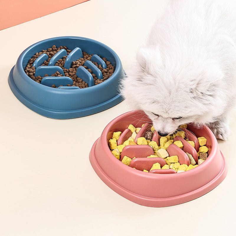 Slow Feeder Bowl - Anti-Gulp Maze Bowl for Dogs & Cats