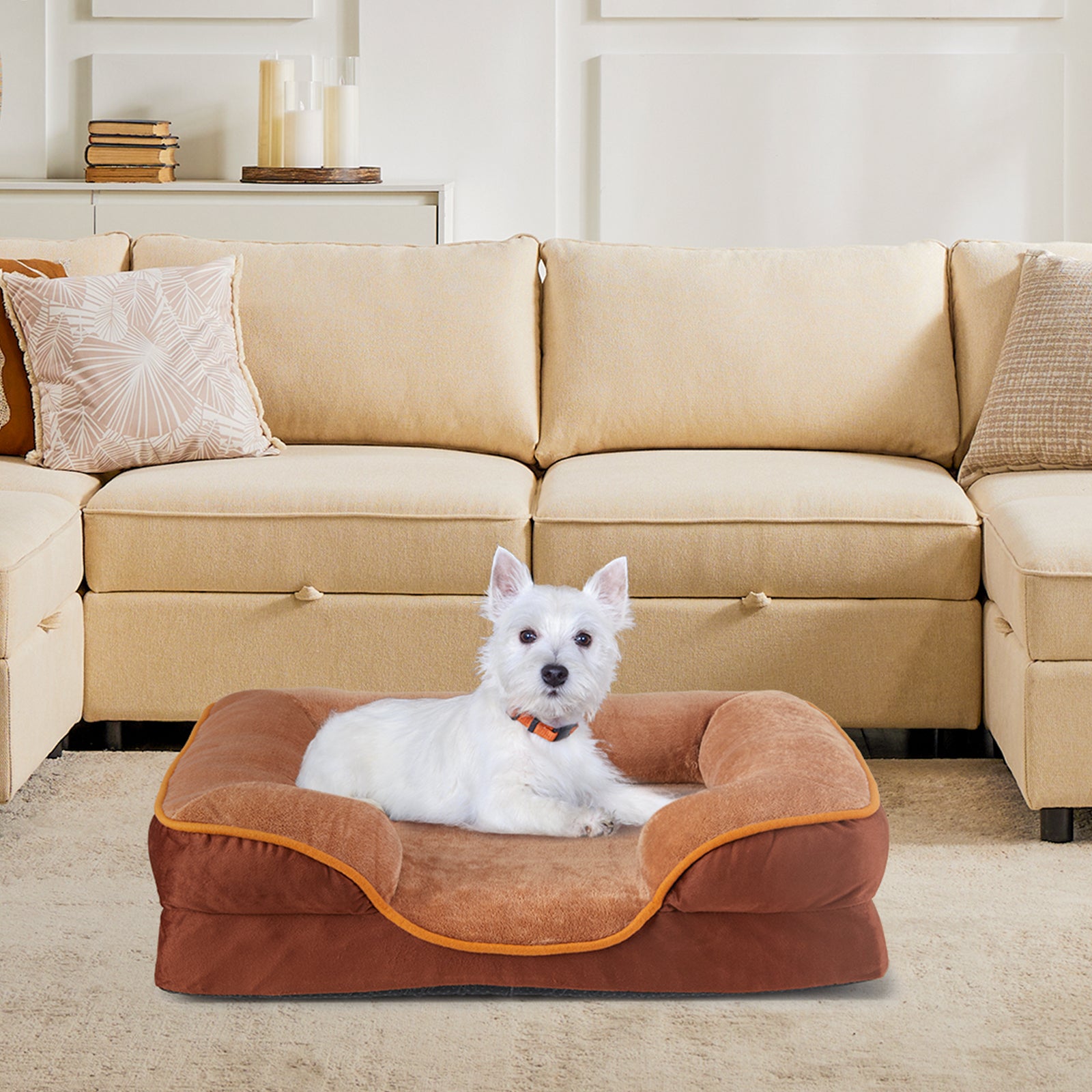 The Memory Foam Pet Bed — Washable, Waterproof Lined, 5 Sizes