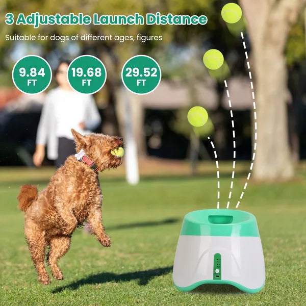 The Auto Ball Launcher — 6 Tennis Balls, 3 Distance Settings