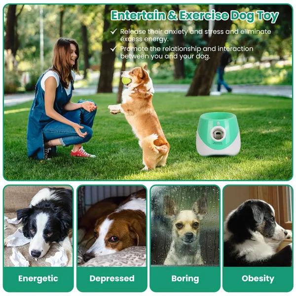 The Auto Ball Launcher — 6 Tennis Balls, 3 Distance Settings