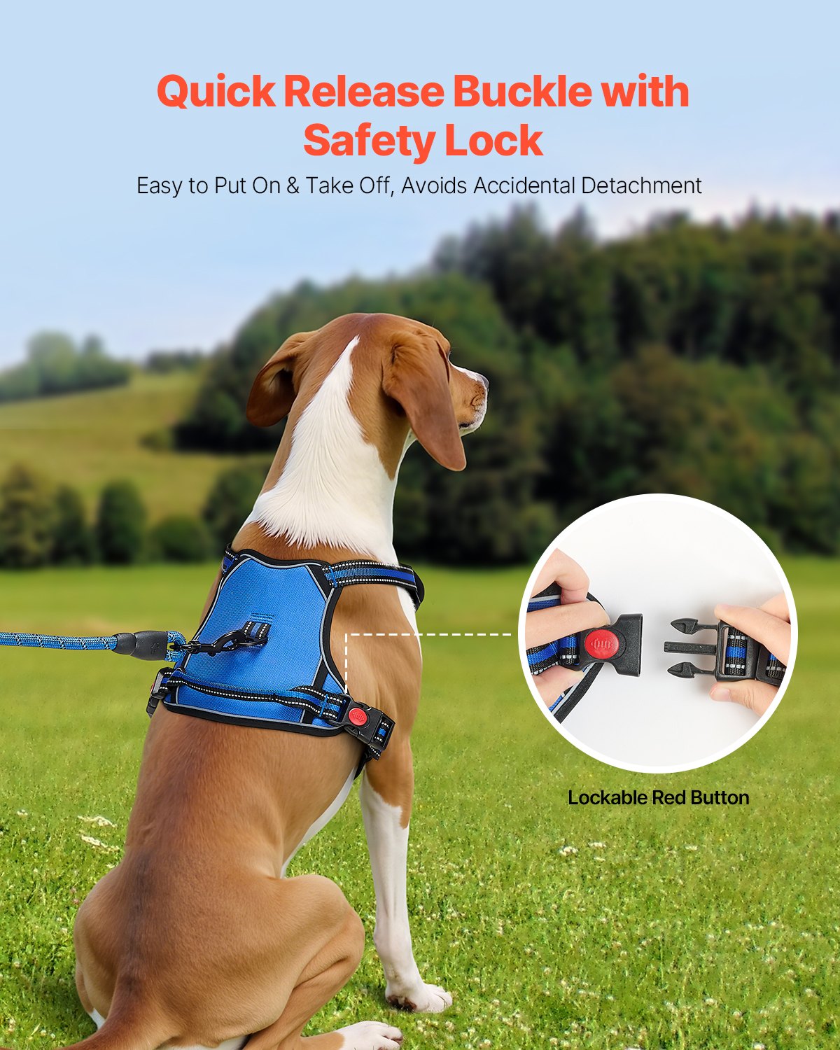 The No-Pull Dog Harness — Reflective, Front + Back Clip, 5 Sizes