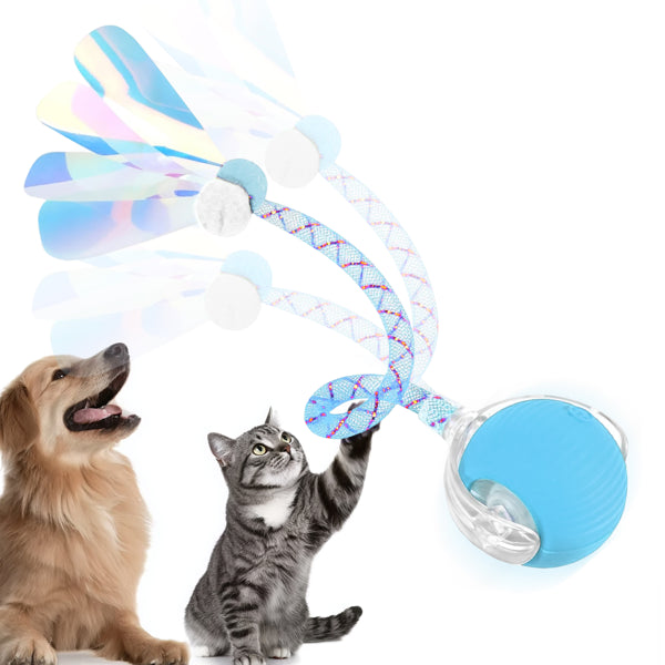 New Cat Starter Kit — Litter, Play, Claws