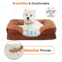 Senior Pet Comfort Kit — Softer Days for Older Pets