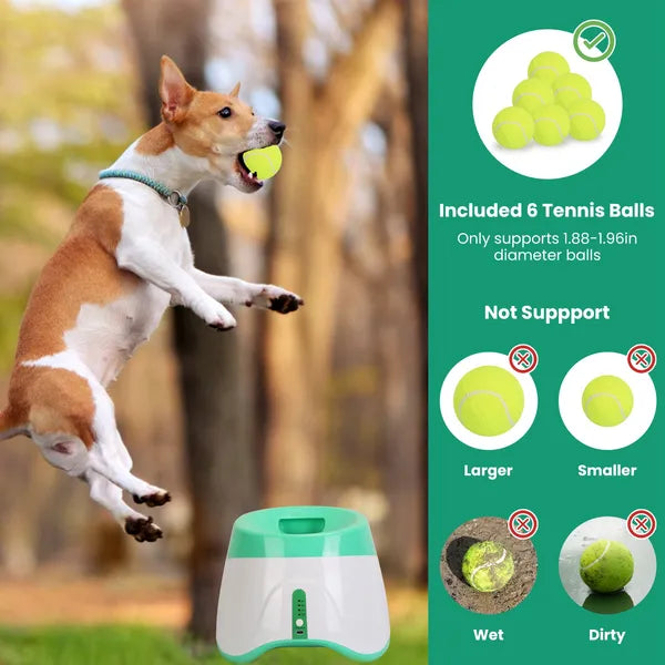 The Auto Ball Launcher — 6 Tennis Balls, 3 Distance Settings