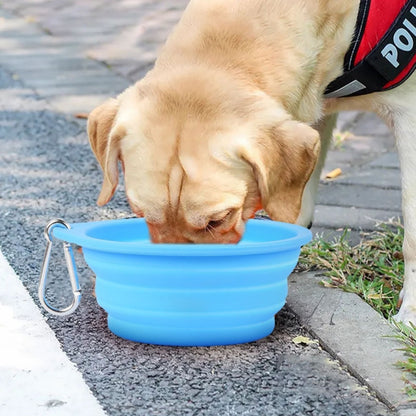 Collapsible Travel Bowl - Foldable Silicone Bowl for Walks & Trips
