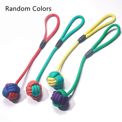 Rope Chew Toy Set - Durable Cotton Knots for Teeth & Tug