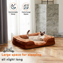 Senior Pet Comfort Kit — Softer Days for Older Pets