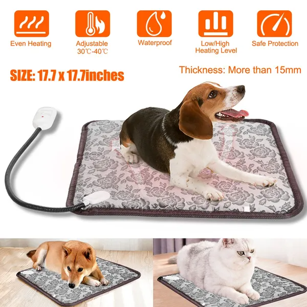 Senior Pet Comfort Kit — Softer Days for Older Pets