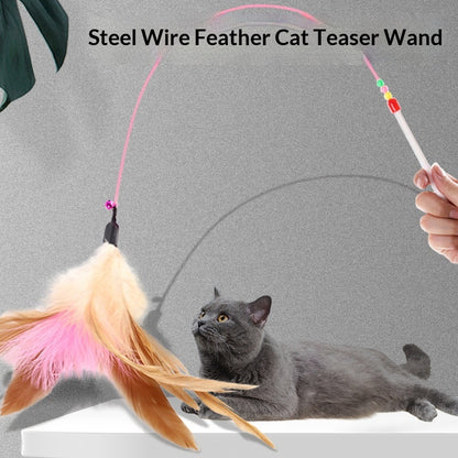 Cat Teaser Wand - Feather Chase Toy for Active Play