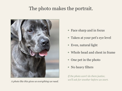 The photo makes the portrait: photo standards for a strong source photo