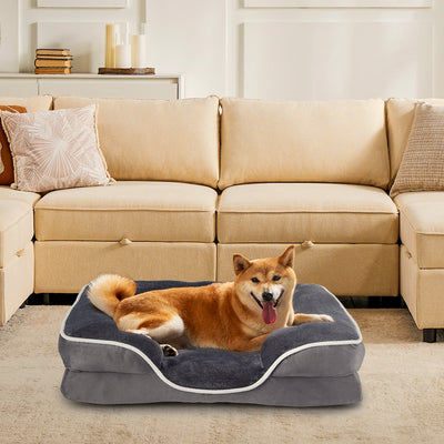 A cat resting on the orthopedic memory foam pet bed in soft natural light